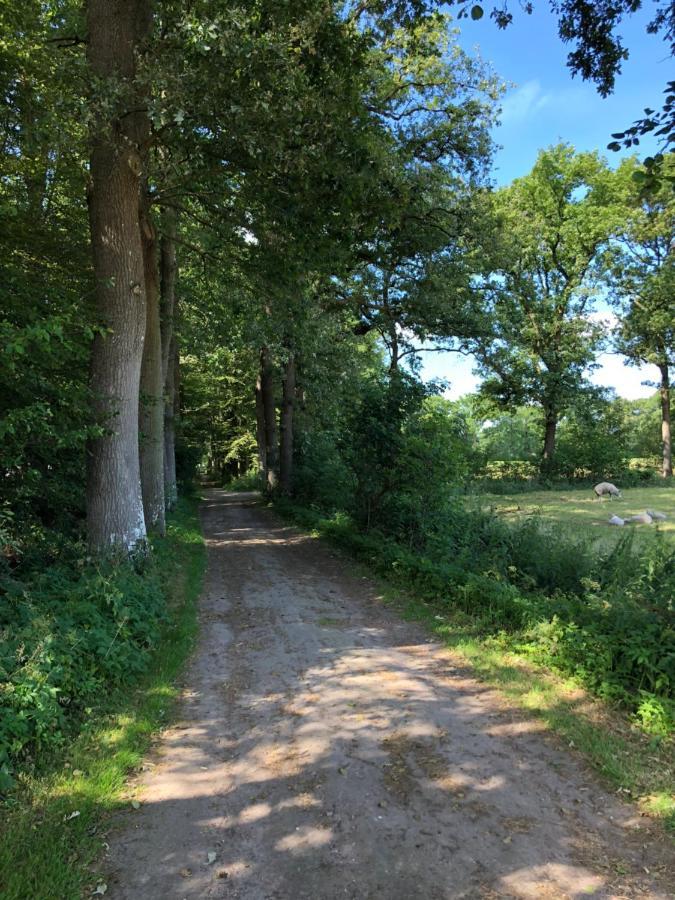 Klein Bosland By Logeren Bij Saar Wijnjewoude Exterior foto