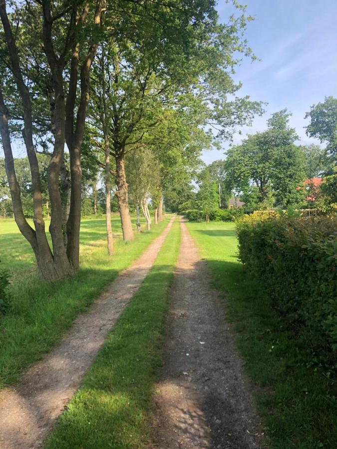 Klein Bosland By Logeren Bij Saar Wijnjewoude Exterior foto